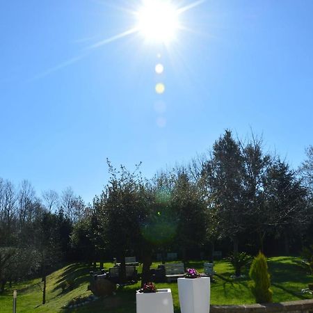 Tenuta Terra Tefra Villa Conca della Campania ภายนอก รูปภาพ